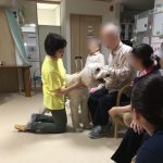 一般社団法人アニマルセラピーこころサポート協会、神奈川県横浜市、鎌倉市