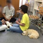 一般社団法人アニマルセラピーこころサポート協会、神奈川県横浜市、鎌倉市