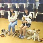 一般社団法人アニマルセラピーこころサポート協会、神奈川県横浜市、鎌倉市