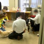 一般社団法人アニマルセラピーこころサポート協会、神奈川県横浜市、鎌倉市